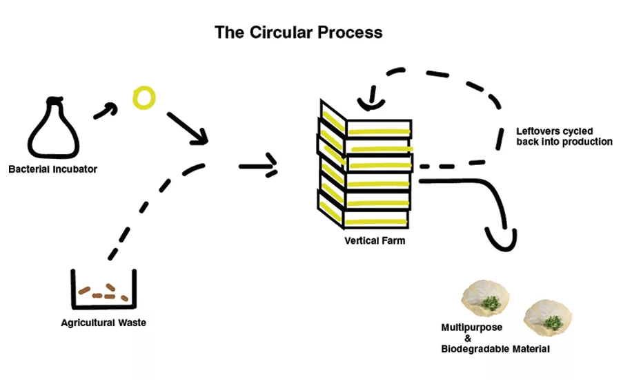 Eco-Friendly Packaging Materials of the Future