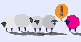 sheep graphic pink