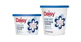 Daisy Cottage Cheese