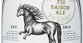 ponysaurus