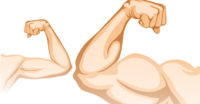 cartoon muscle arms