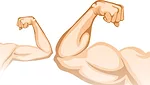 cartoon arms muscle