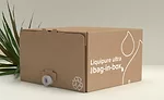 Bag-in-box