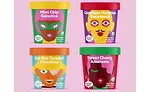 Coconut Bliss pints