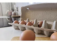 Smilepack egg carton