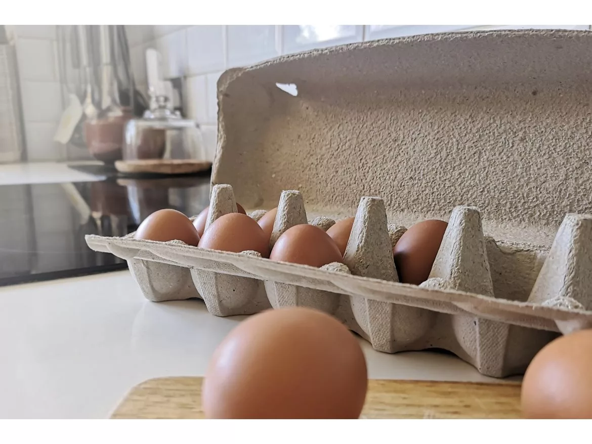 Smilepack egg carton