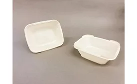 Toppan Ultra-Thin-Walled Container