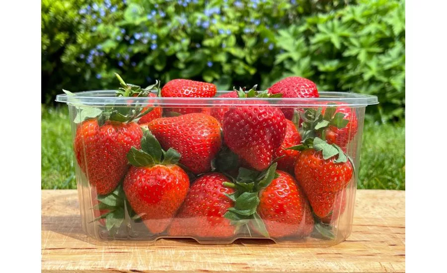 Produce Packaging