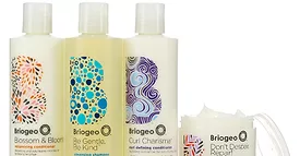 Briogeo