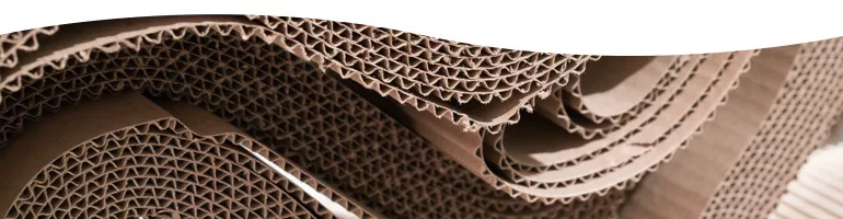 Paperboard/Corrugated/Cartons
