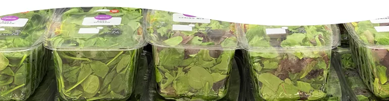 Rigid Containers